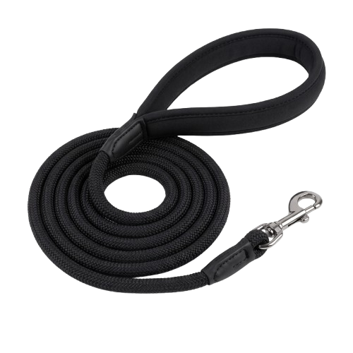 Dog Leash